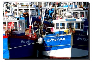 Port de Pêche de Brest