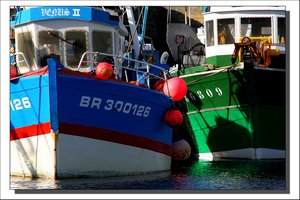 Port de Pêche de Brest