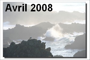 Mars 2008