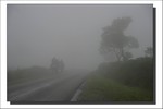 Août 2009 - Lopérec -Morenn - Brumes