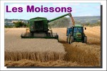 LDI - Août 2009 - Les Moissons
