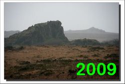 2009
