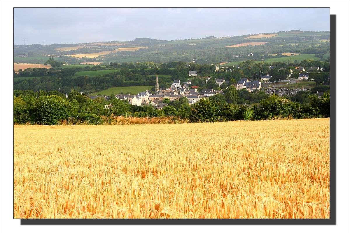 Juillet 2009 - Lopérec - Matin de Juillet