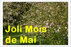 Joli Mois de Mai