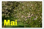 Mai 2009