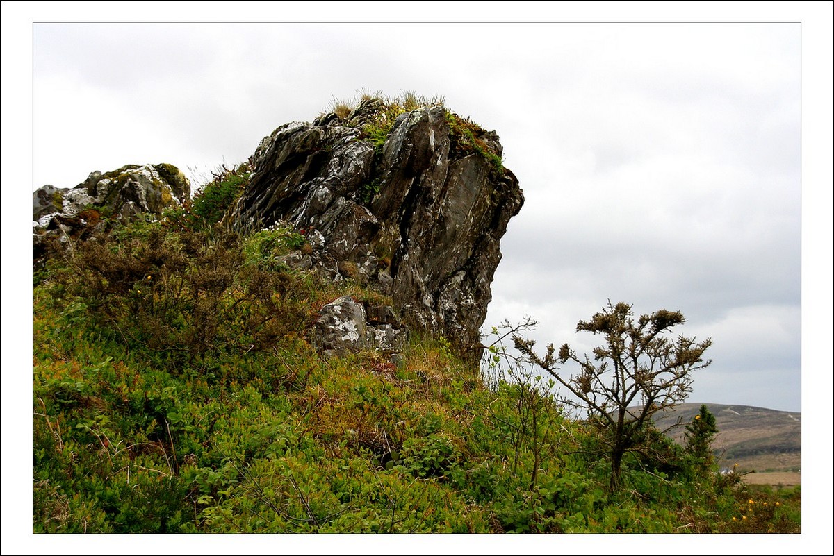 Monts d'Arrée - Mai 2009