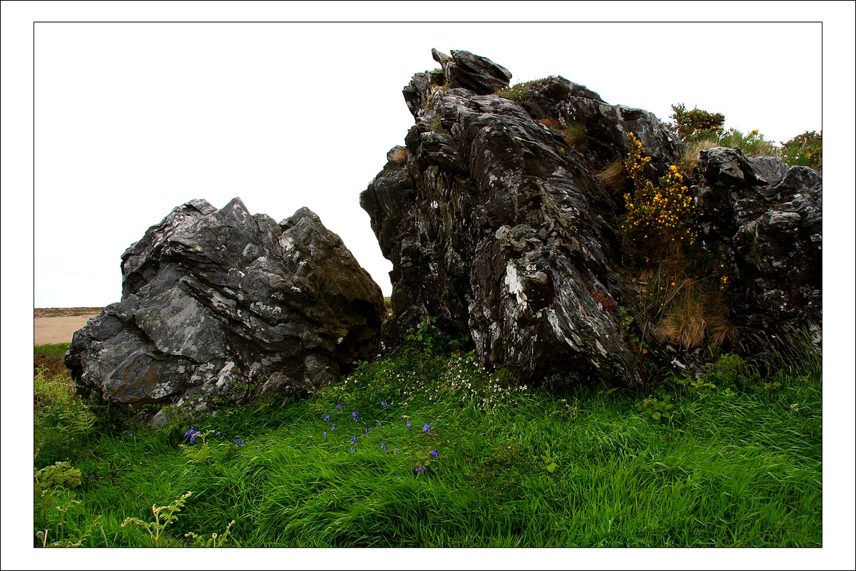 Monts d'Arrée - Mai 2009