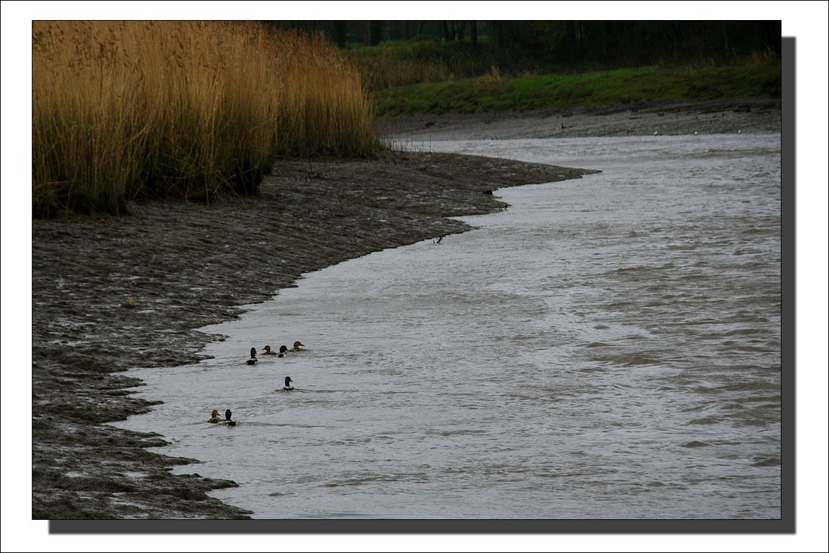 Vendredi 13... Pont de Buis - Sur l'Aulne