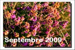 Septembre 2009