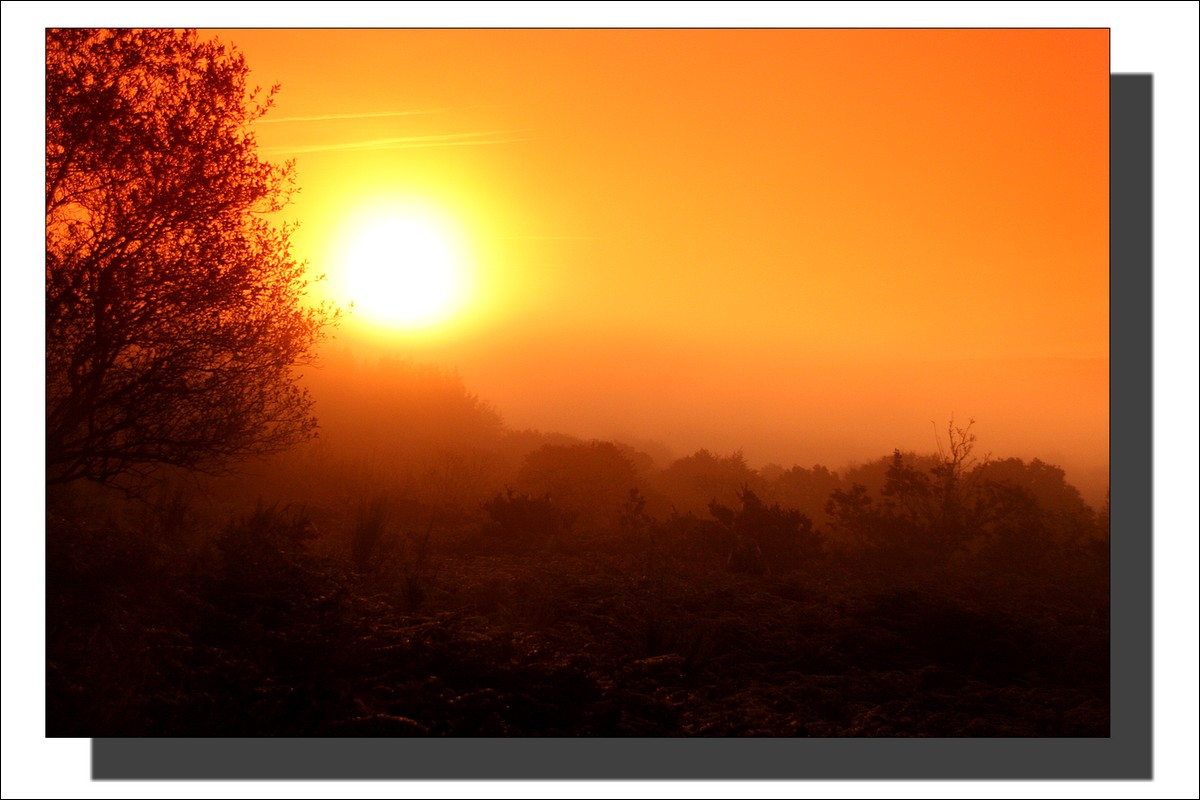 Terres de Brumes et de Bruyères - Lever du Soleil - Monts d'Arrée - Finistère -  25 Septembre 2009