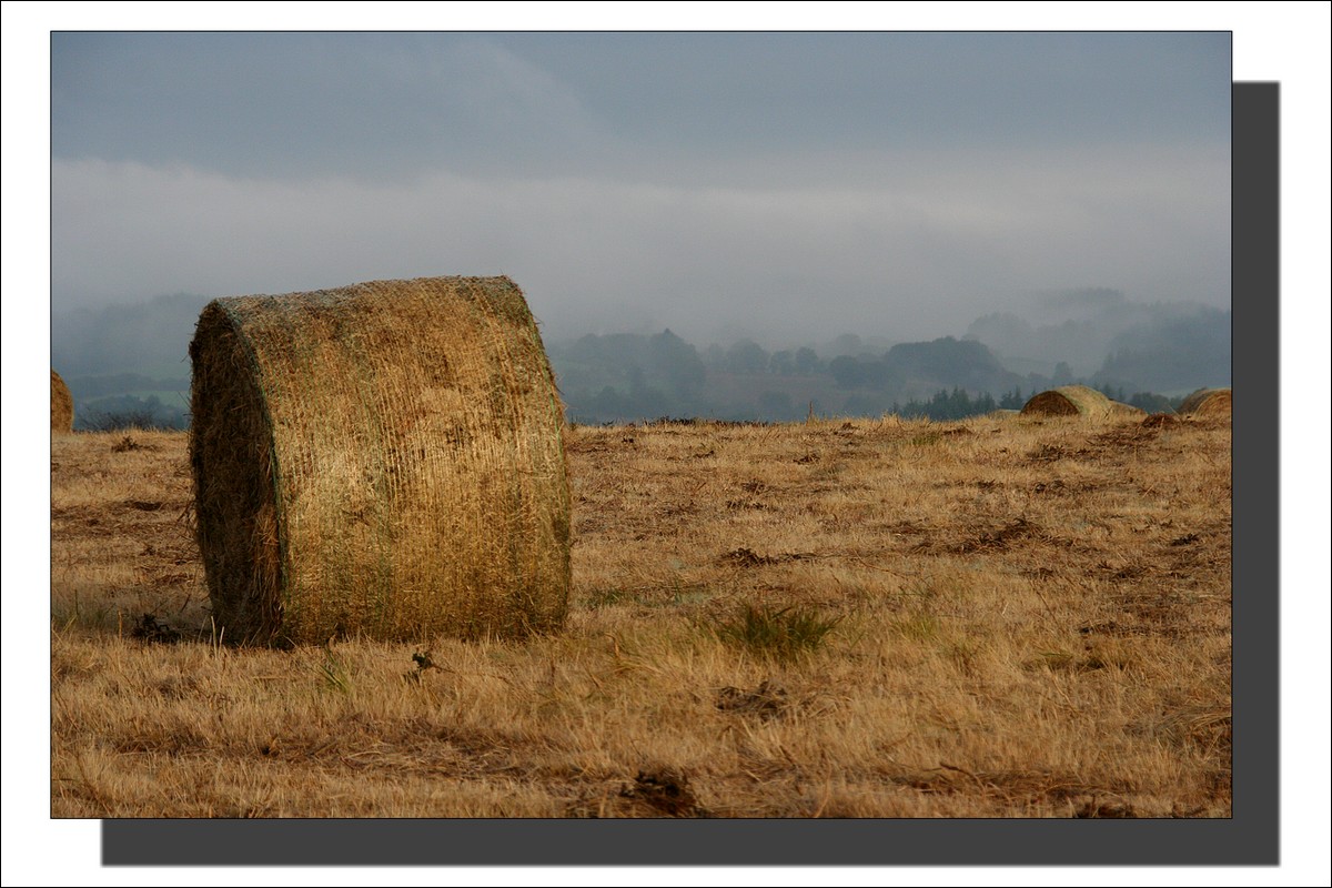 Terres de Brumes et de Bruyères - Lever du Soleil - Monts d'Arrée - Finistère -  25 Septembre 2009