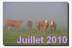 Juillet 2010