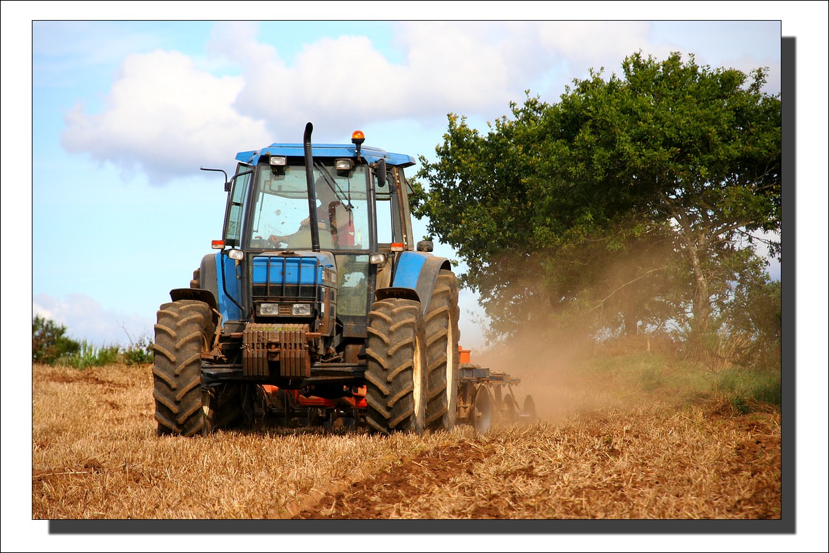 Travaux des Champs, Kerguelfen