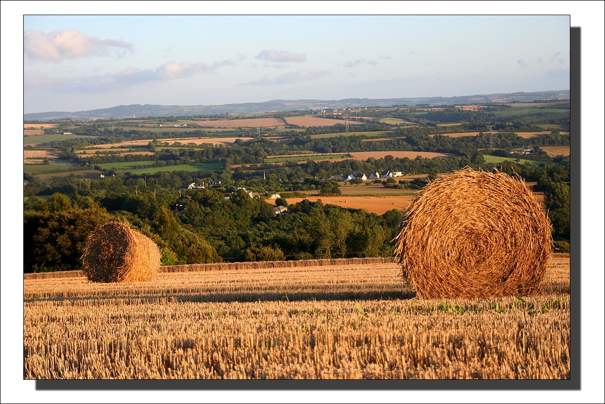 Le Temps des Moissons, soleil couchant sur Lopérec (4 août 2010)