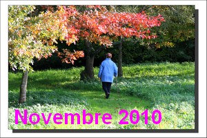 Novembre 2010