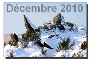 Décembre 2010