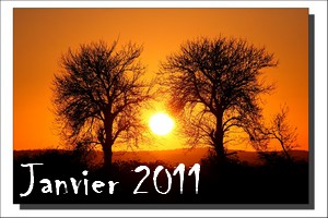 Janvier 2011
