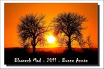 Janvier 2011