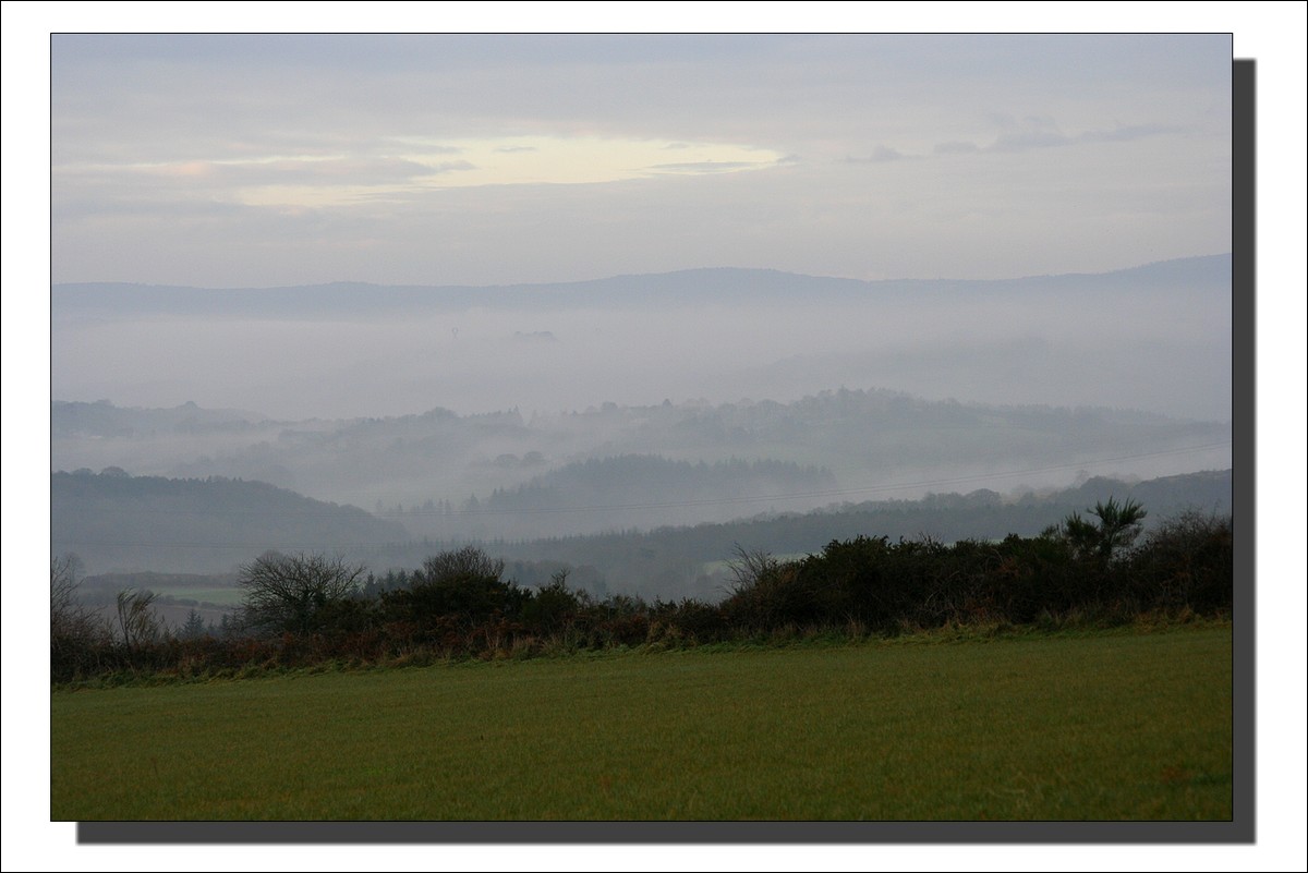 Campagne brumeuse