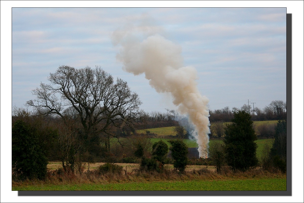 feu de bois et de brousailles dans la campagne