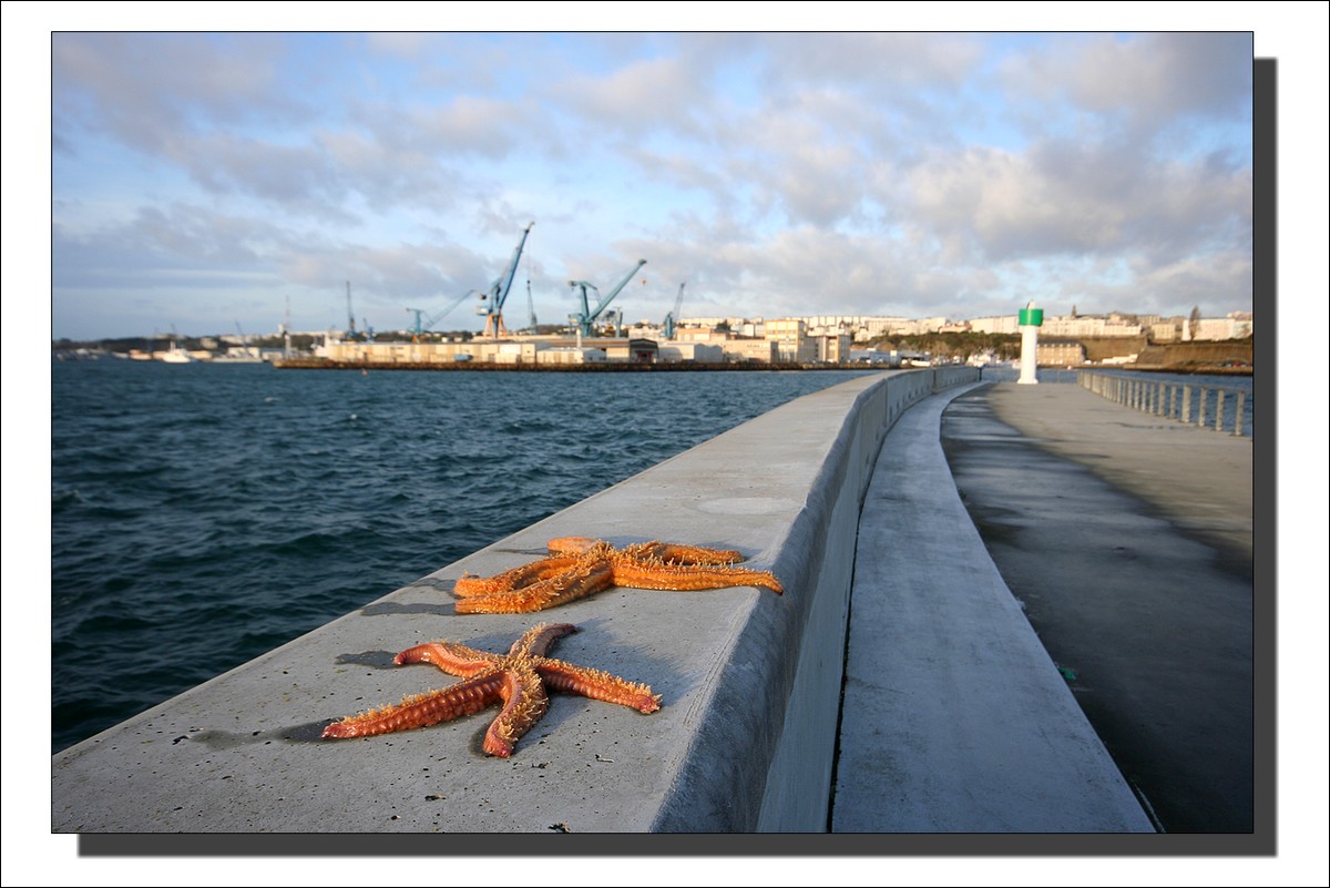 Port de Brest