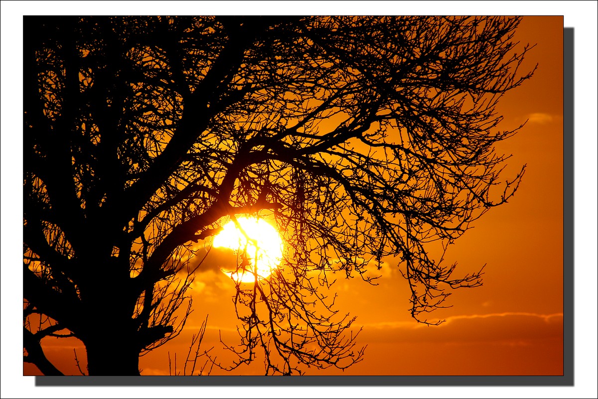 Coucher de Soleil