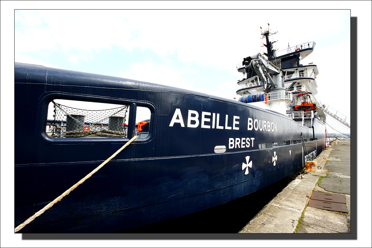 Abeille Bourbon - Brest