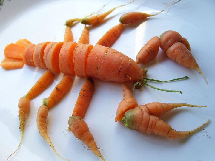 Homard Breton - Austérité : C'est la crise