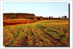 Décembre 2011