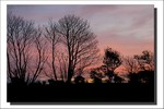 Décembre 2011