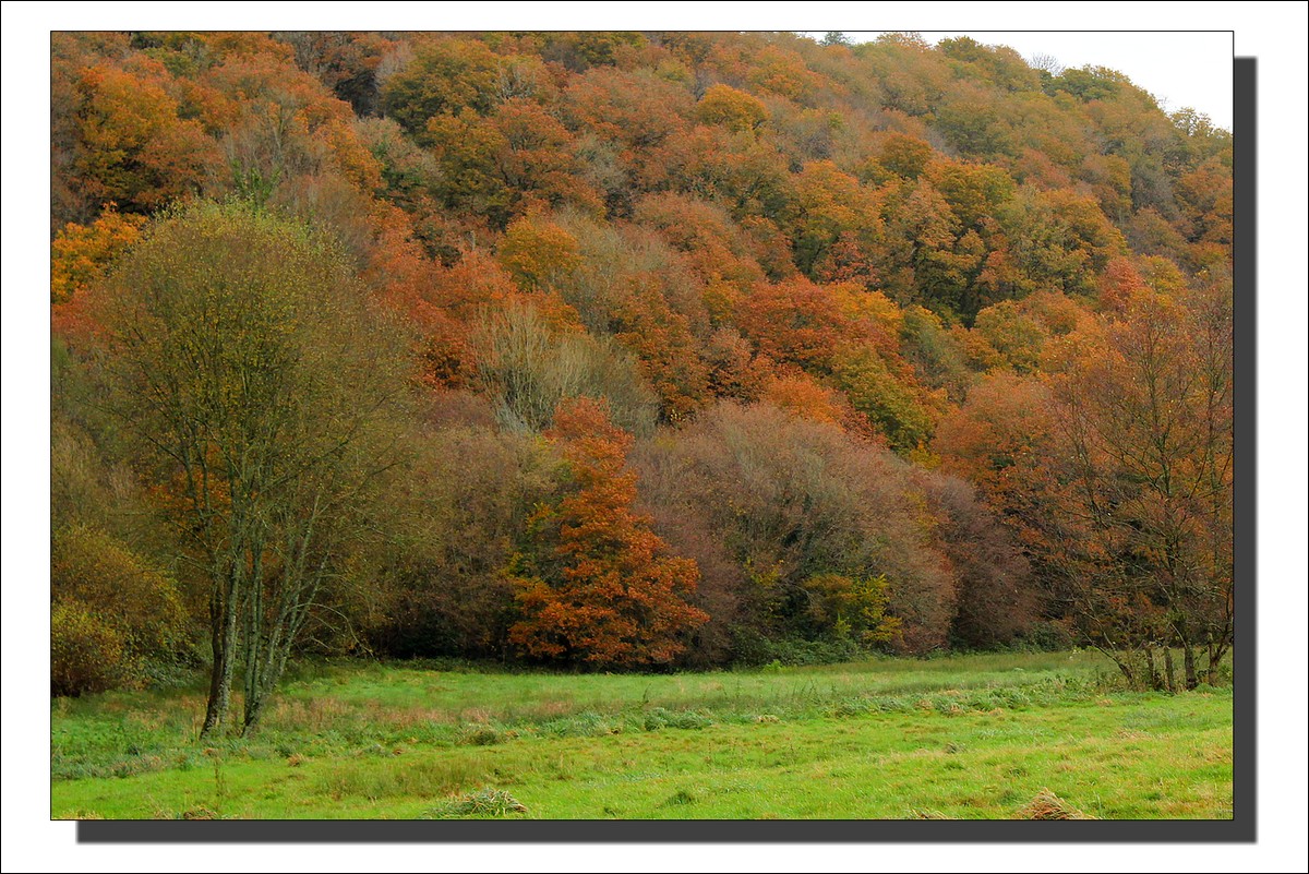 Lopérec - Tyrbourg - La Fin de l'Automne...
