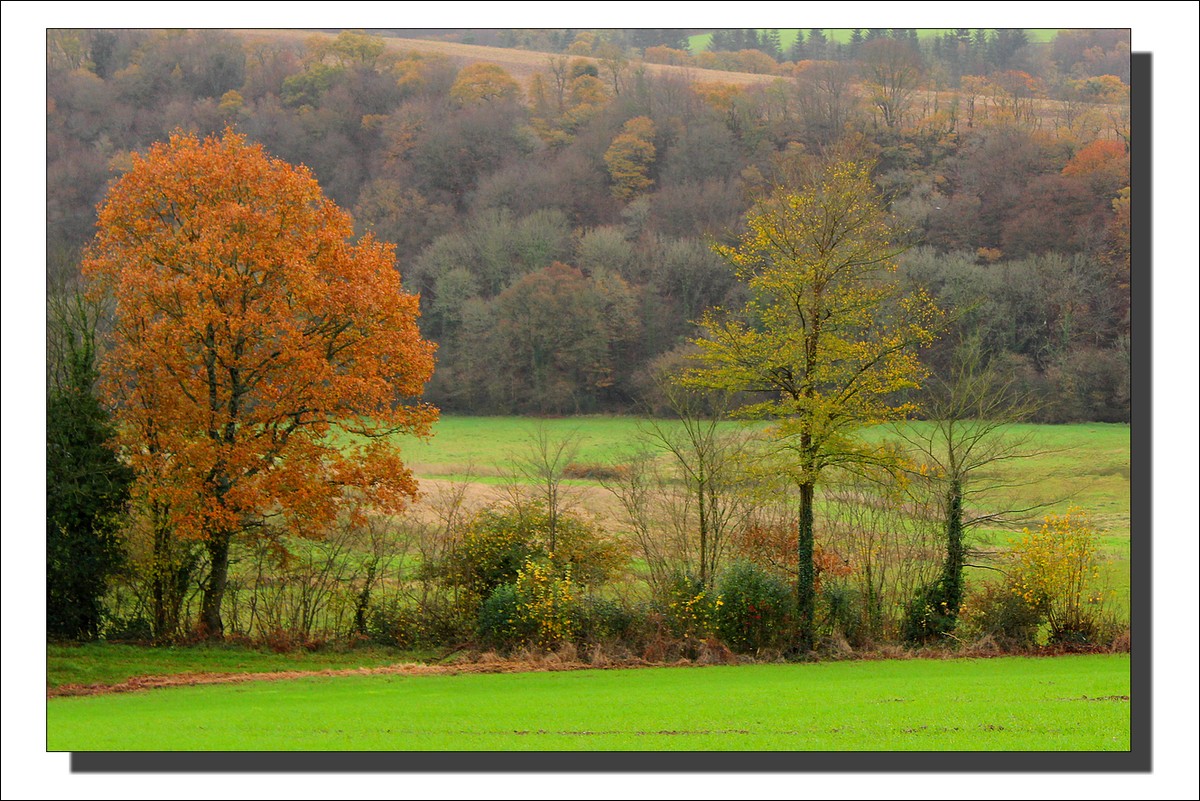 Lopérec - Tyrbourg - La Fin de l'Automne...