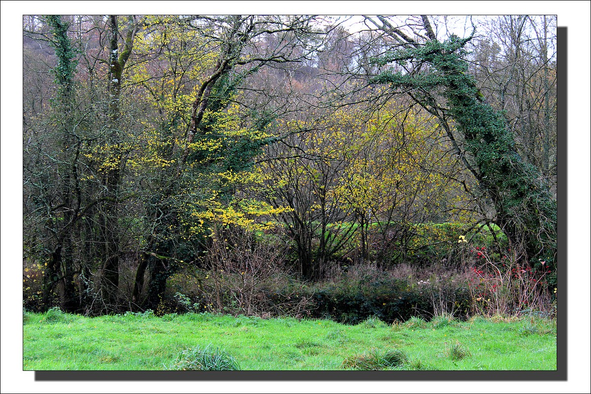 Lopérec - Tyrbourg - La Fin de l'Automne...