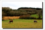 Décembre 2011
