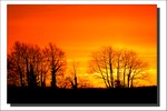 Décembre 2011