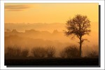 Décembre 2011