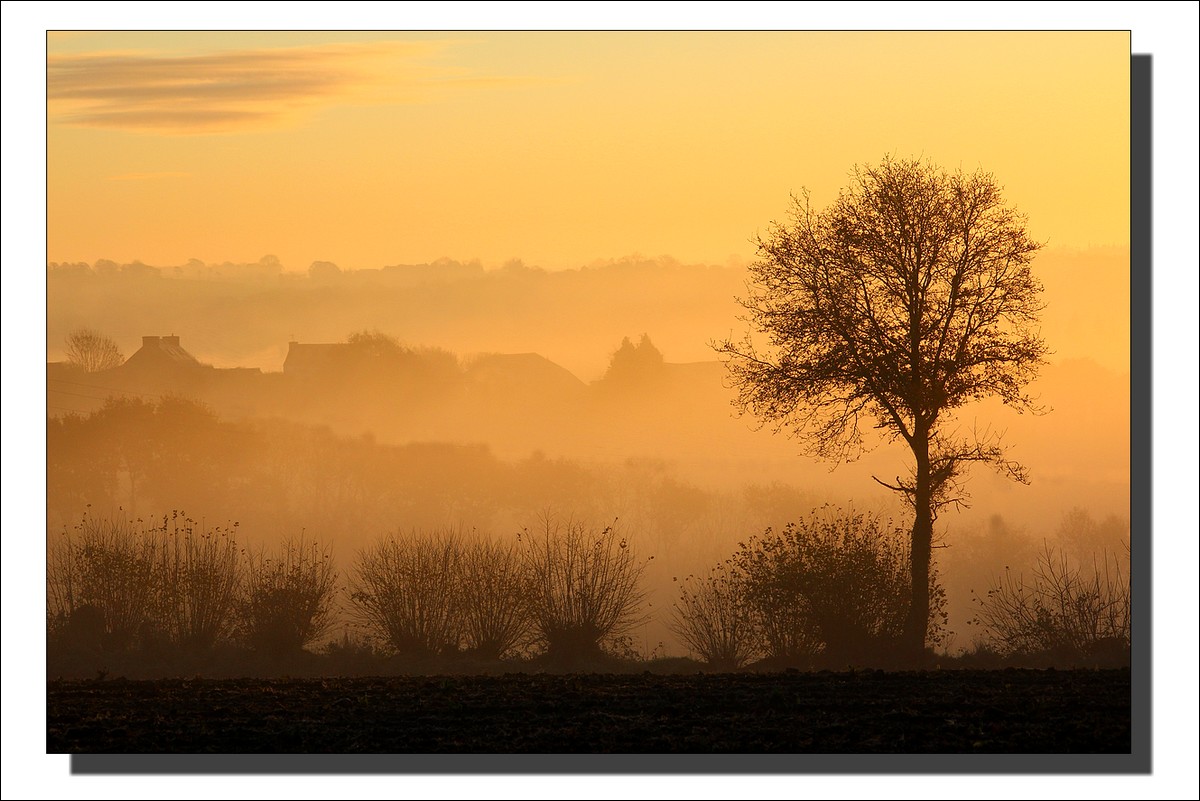 Brumes matinales sur la Campagne au Lever du Jour