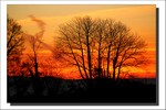 Décembre 2011