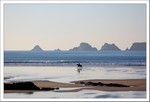 Janvier 2012
