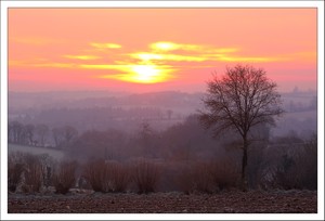 Lopérec - Gelées matinales au soleil levant.
