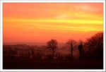 Janvier 2012