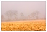 Mars 2012