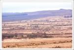 Mars 2012