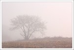 Mars 2012