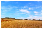 Mars 2012