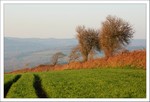 Mars 2012