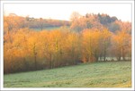Mars 2012