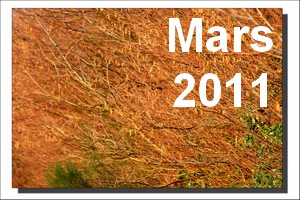 Mars 2011