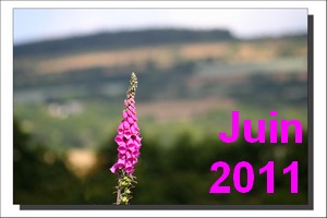 Juin 2011