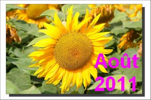 Août 2011